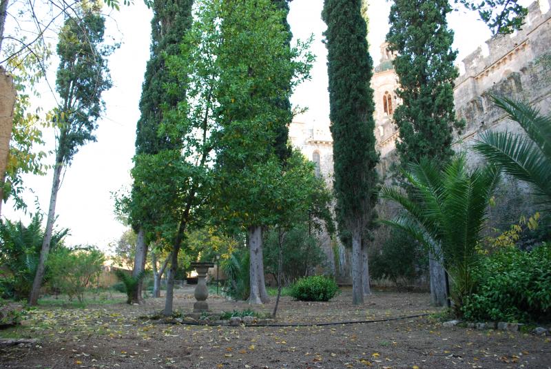 L'Abadia de Santes Creus