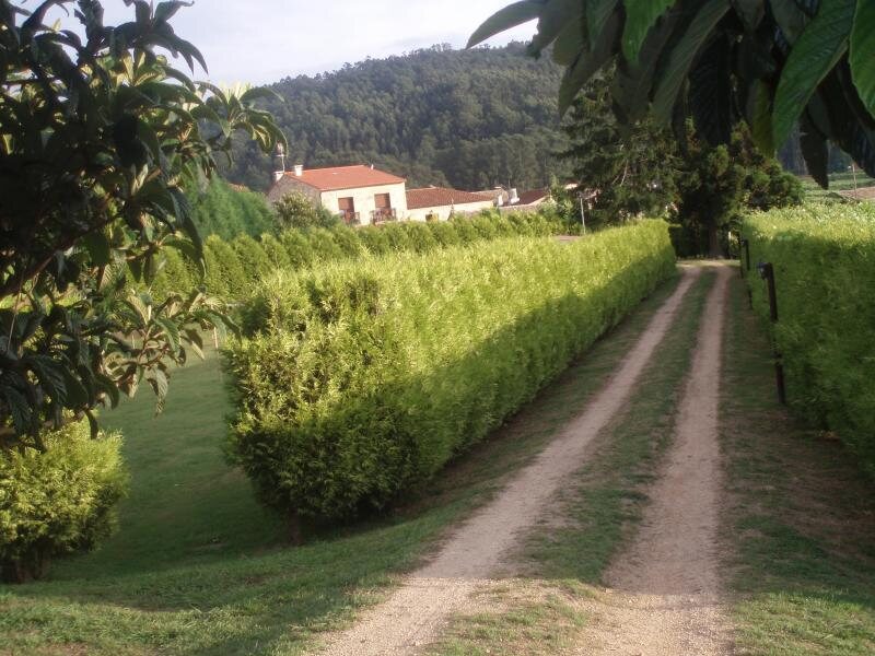 Eirado  Do  Pino