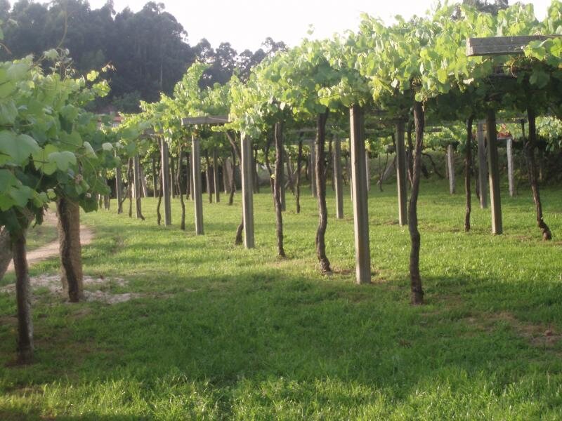 Eirado  Do  Pino