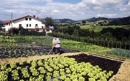 Enbutegi