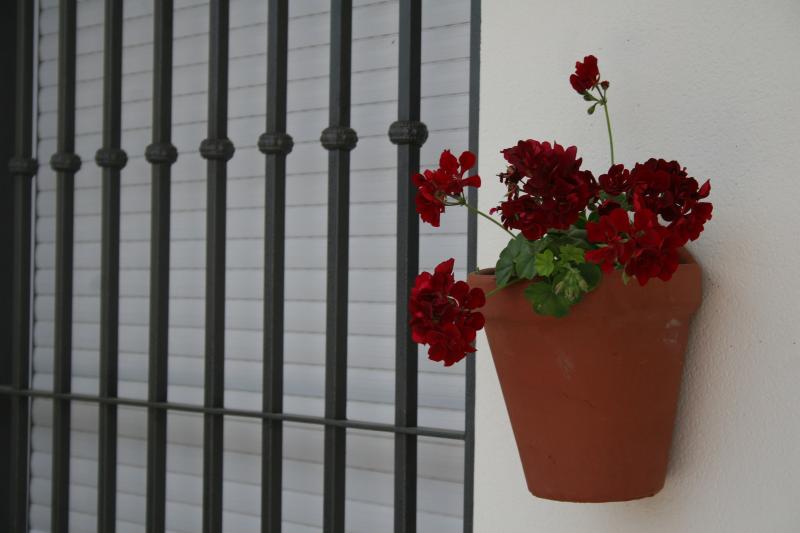 Las Casas De Nani