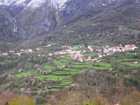 Sajambre Rural