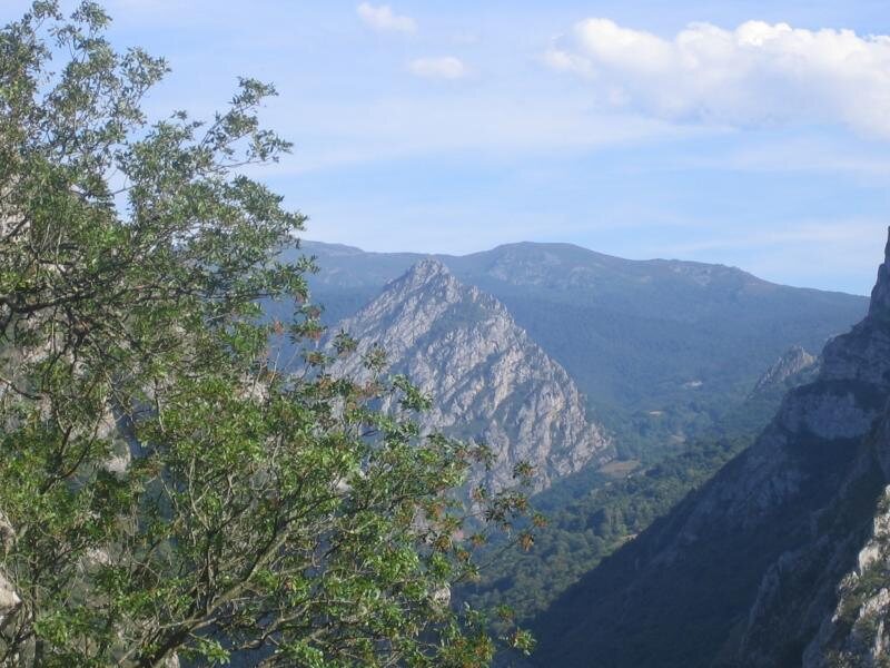 Sajambre Rural