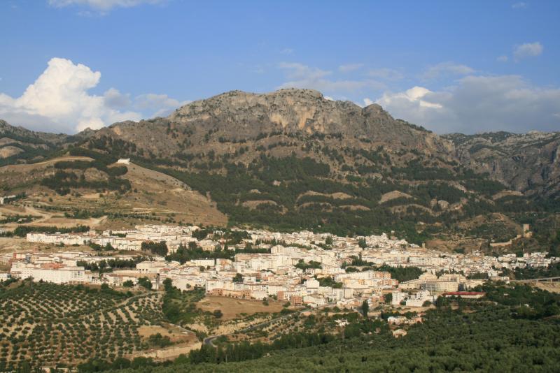El Olivar De Tramaya