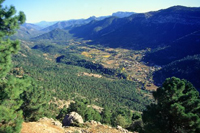 El Olivar De Tramaya