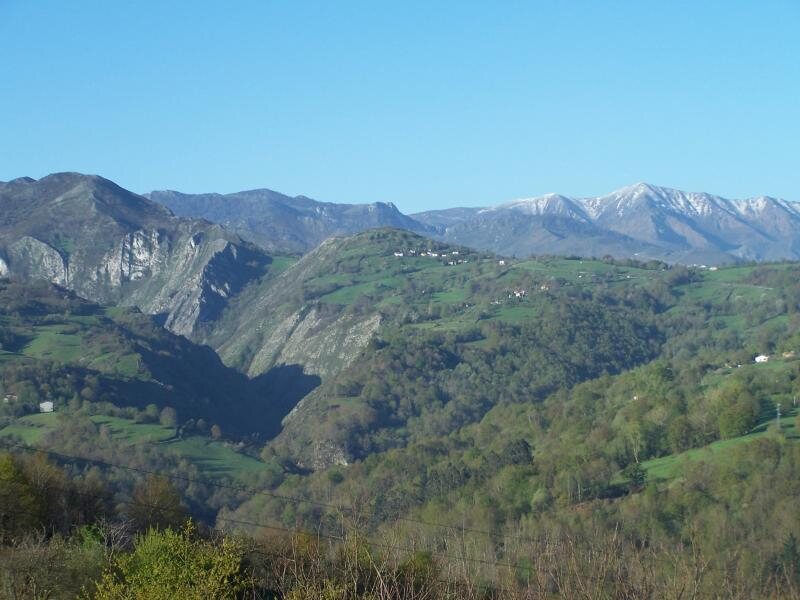 Antoxana