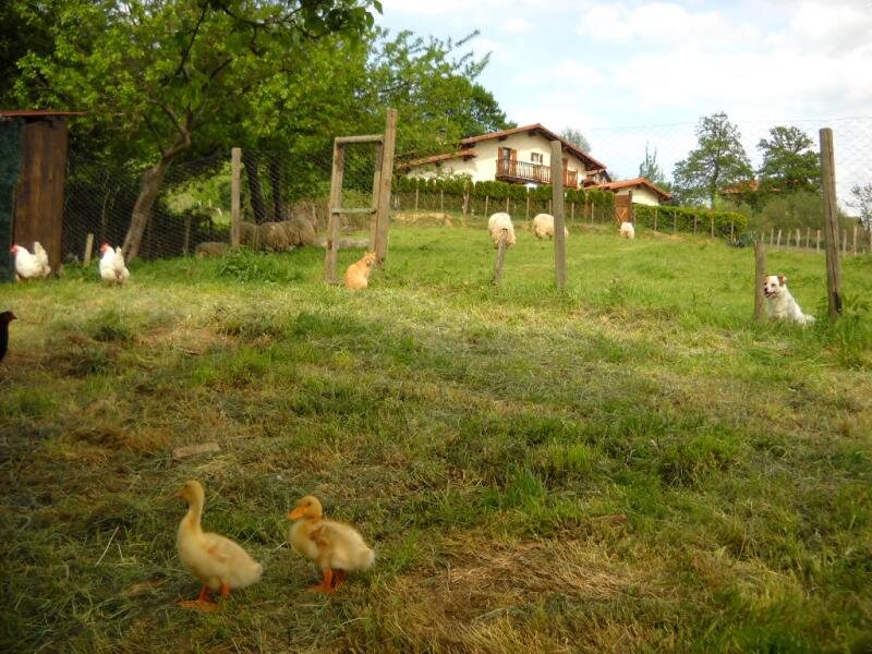 Casa Rural Lizartzanea