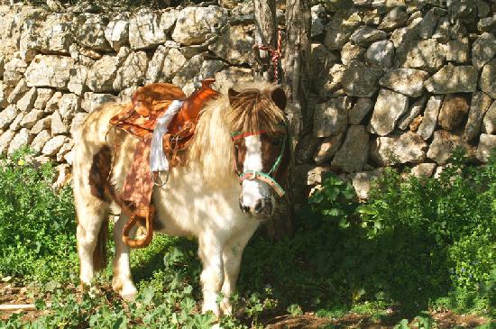 Finca Maria