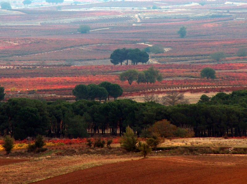 Casa Azul De La Ribera Del Duero