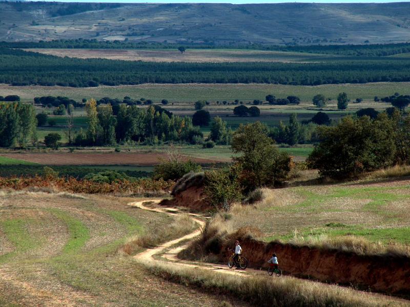 Casa Azul De La Ribera Del Duero