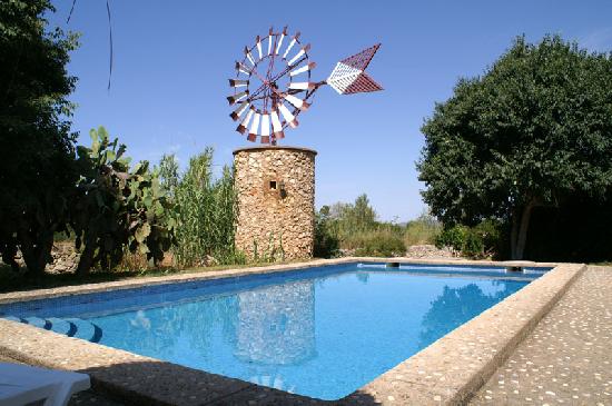 Can Safra