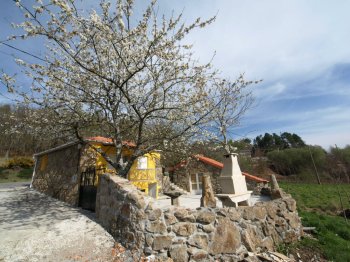Casa Chaus