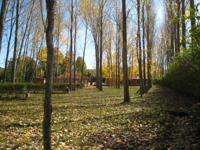 Camping Reino De Leon