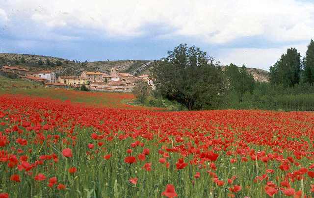 Rincón del Duque