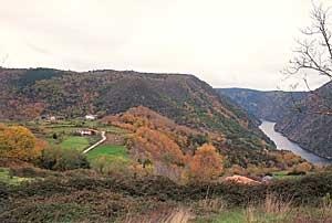 Reitoral De Chandrexa