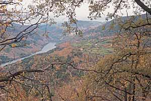 Reitoral De Chandrexa