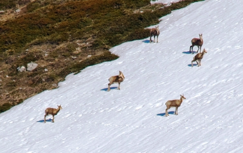 Pensión Montanha  En Salardú  Val D'aran