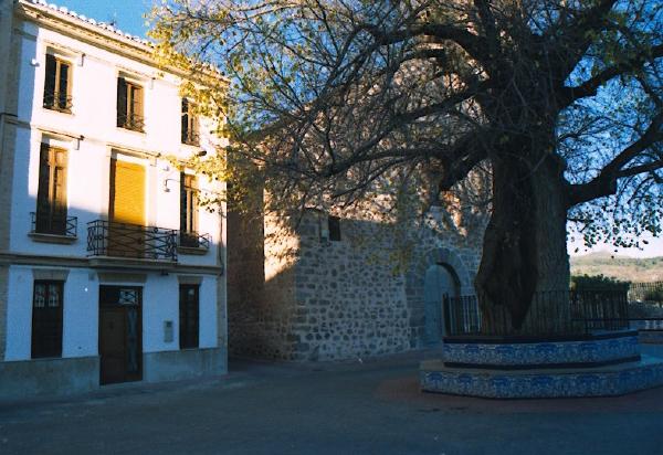Casa Plaza Olmo