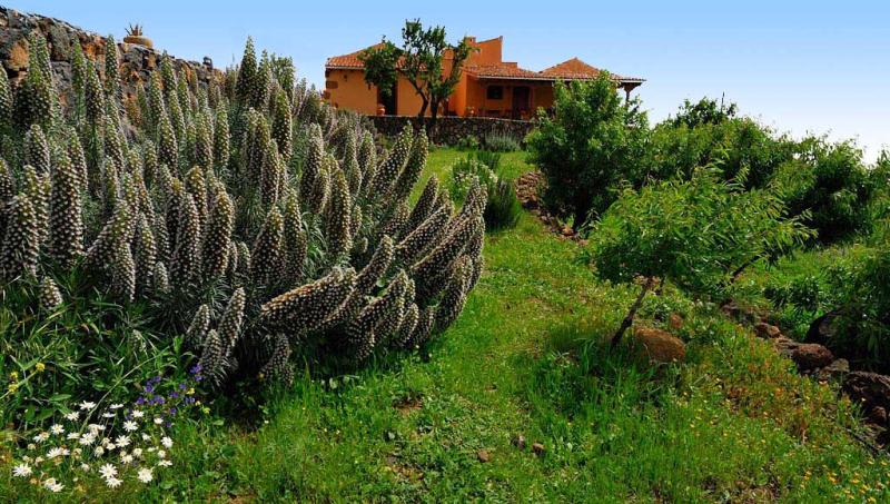 Casa Rural la Correa del Rosal