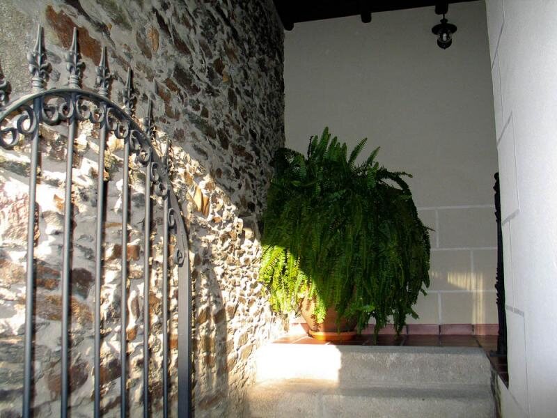 Apartamentos La Antigua