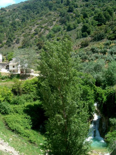 La Casa Del Agua