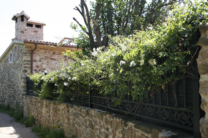 A Casa De Filomena
