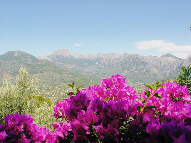 Ca's Xorc Hotel Agroturismo