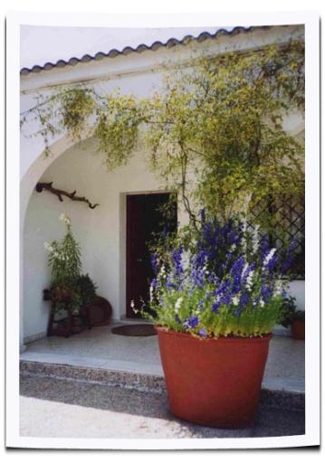 Cortijo El Chaparral