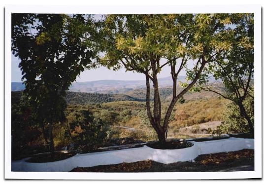 Cortijo El Chaparral