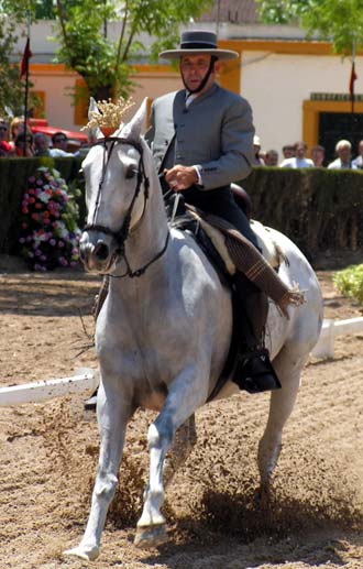 Reyes Catolicos Bajo