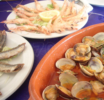 Reyes Catolicos Bajo