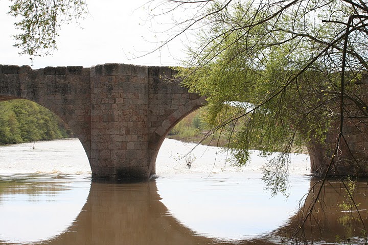 Ribera Del Arlanza