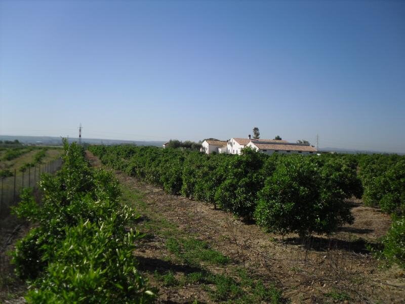 Cortijo Estacada De Las Cabras