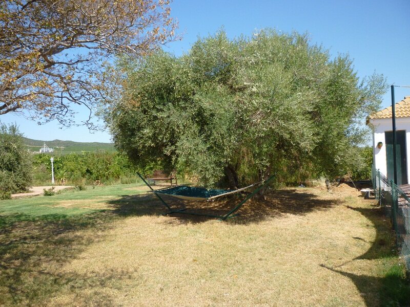 Cortijo Estacada De Las Cabras