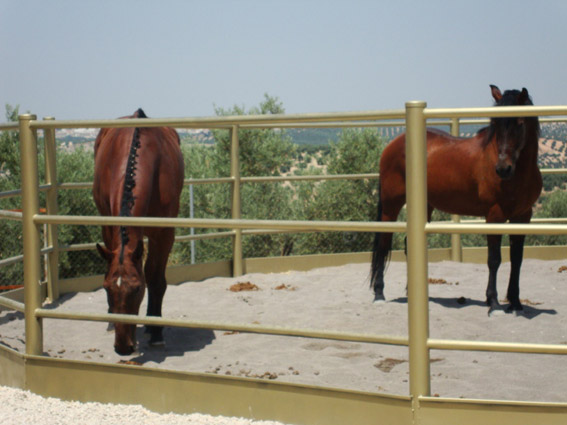 Medina De Belda