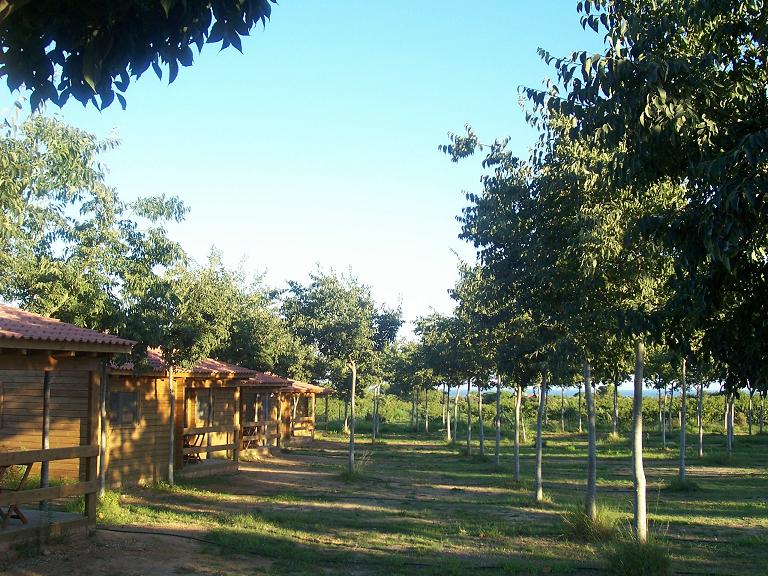 Vinyols Camp
