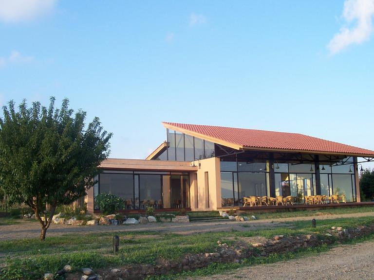 Vinyols Camp