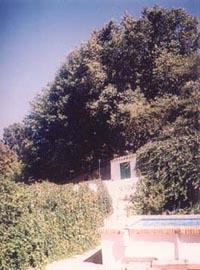 El Patio De La Abuela