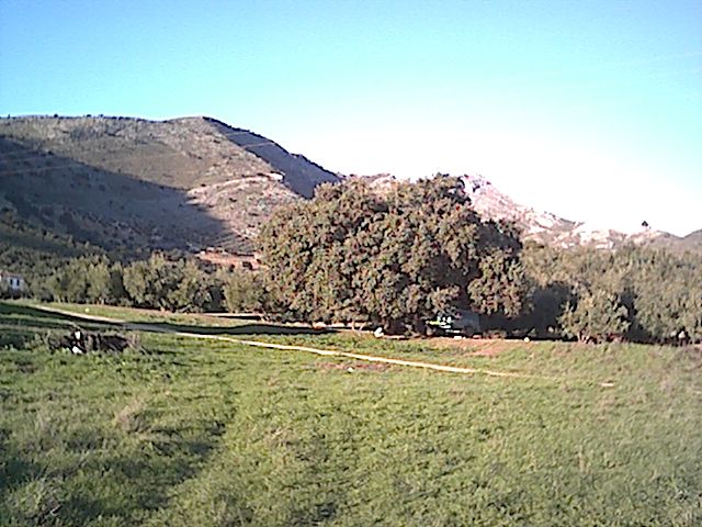 Cortijo Montaña