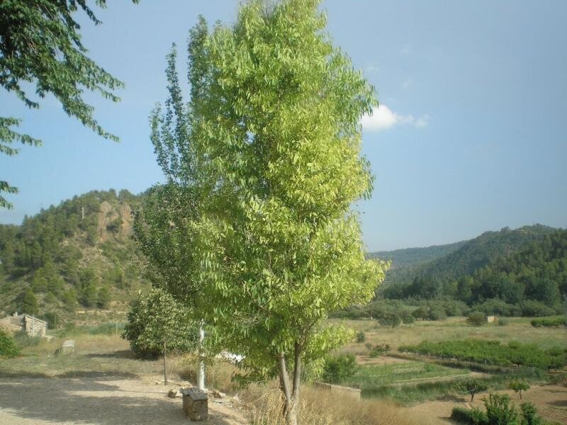 Casas De Alcance