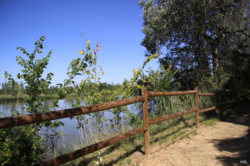 Alto De La Reserva