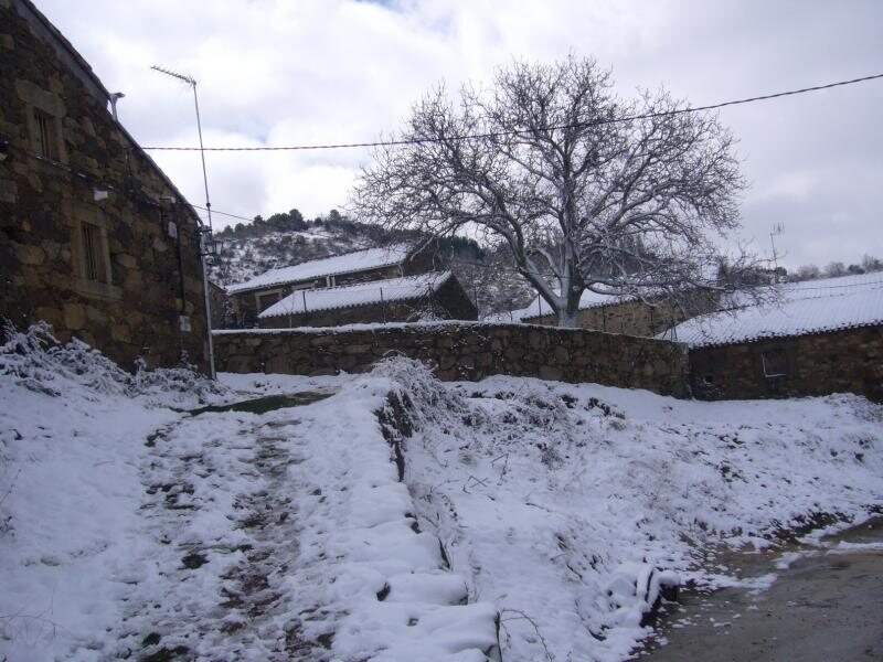 El Nogal