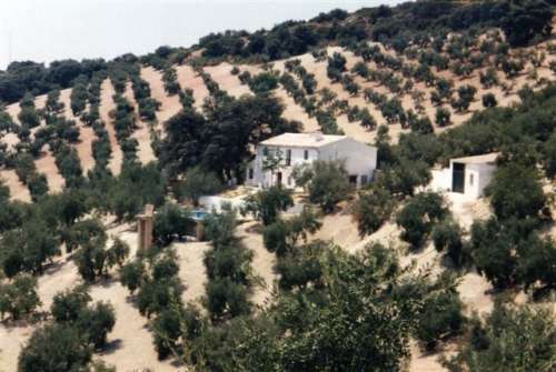 Cortijo La Leona