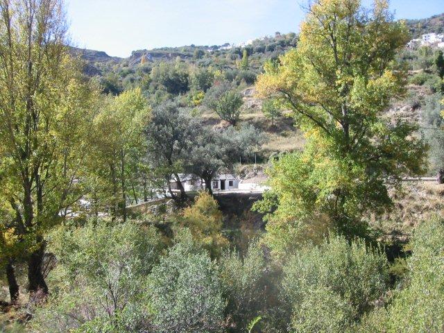 Casas Río De Golco
