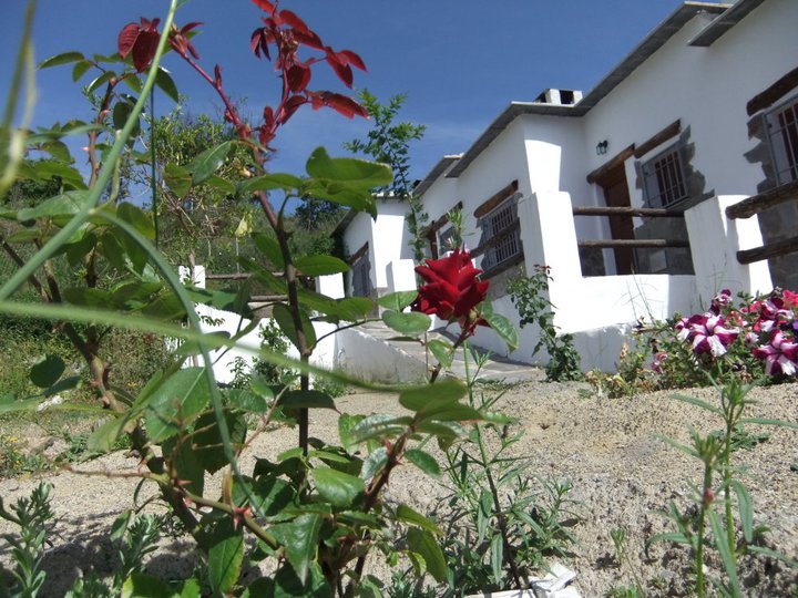 Casas Río De Golco