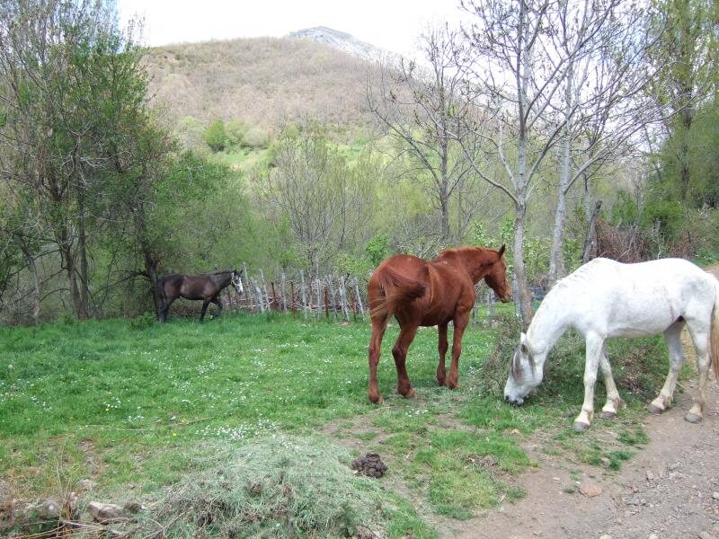Los Calderones De Piedrasecha