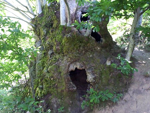 Ruralmédulas en Las Médulas - El Bierzo