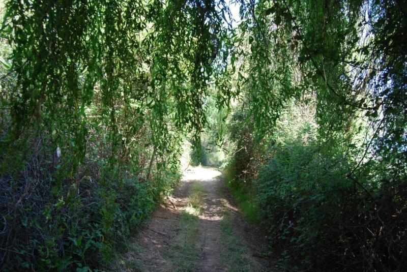 Ruralmédulas en Las Médulas - El Bierzo