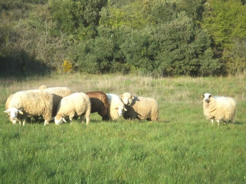Ruralmédulas en Las Médulas - El Bierzo