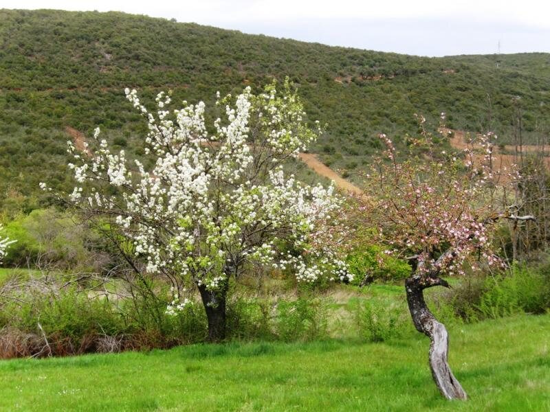 Ruralmédulas en Las Médulas - El Bierzo